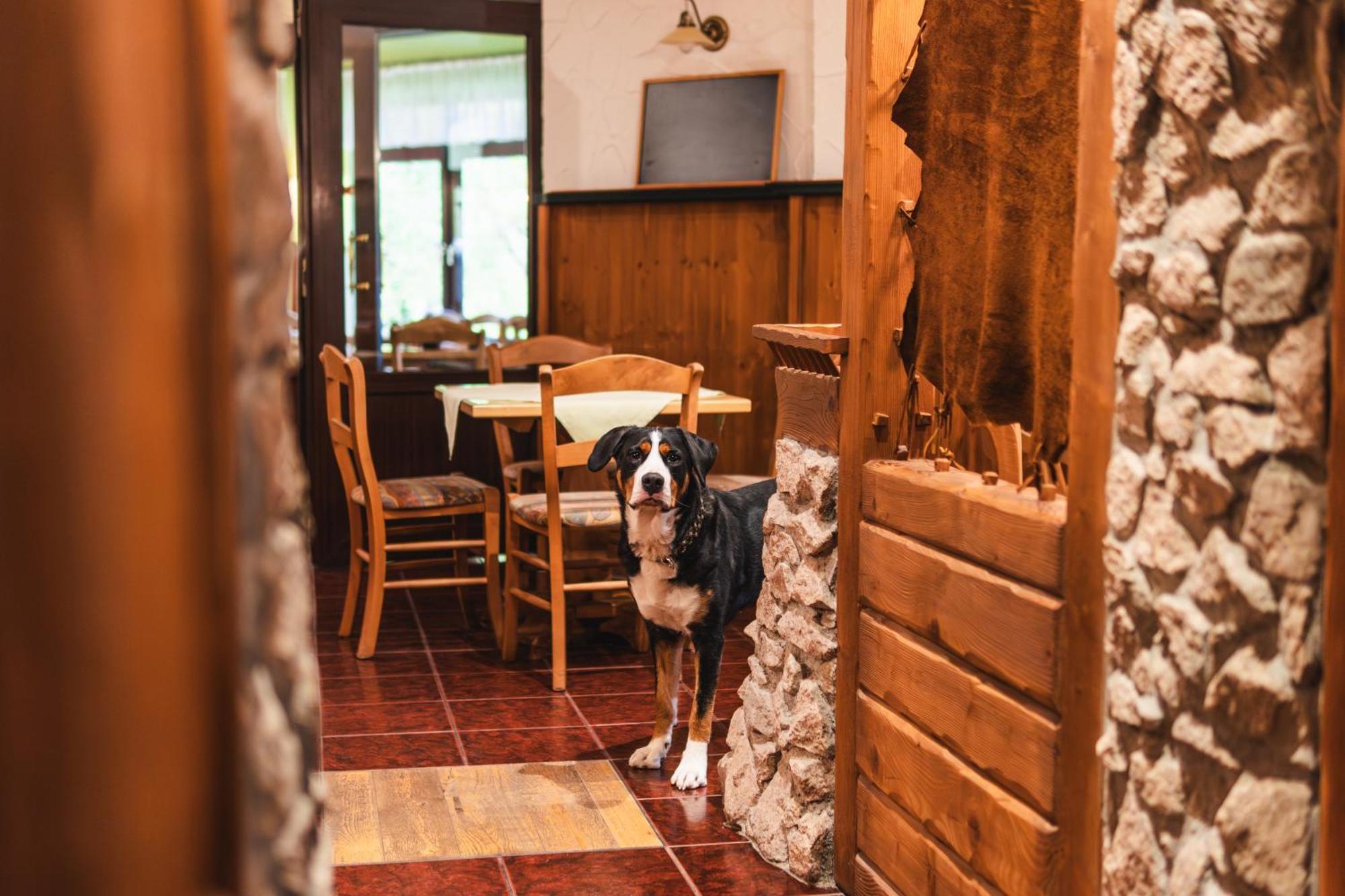 Gasthof Und Pension Hammerschaenke Wildenthal Εξωτερικό φωτογραφία